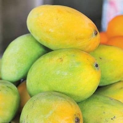 Buy Chinna Rasalu Mango Online In Hyderabad